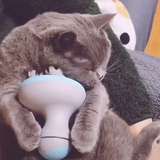 Pet Massager
