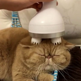 Pet Massager