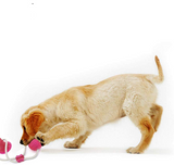 Flexible Pet Molar Bite Toy