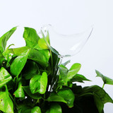 Self-Watering Plant Glass Bulbs(2Pcs)