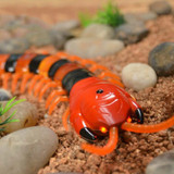 CAT TOYS - REMOTE CONTROL INSECT