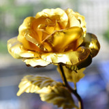 Everlasting Gold Rose Everlasting Gold Rose