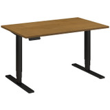 Adjustable Standing Business Desk