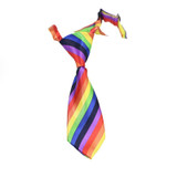 Rainbow Dog Tie