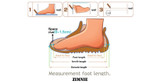 Hiking Shoes