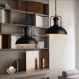 Rosetta Pendant Light