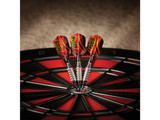 Viper Super Bee Silver Soft Tip Darts 16 Grams