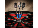Viper Sure Grip Soft Tip Darts Blue