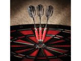 Viper Sure Grip Soft Tip Darts Pink