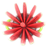 Fruits & Vegetables Slicer