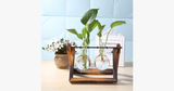 Glass Hydroponics Table Planter Stand