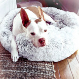 Relax Cozy Calming Bed