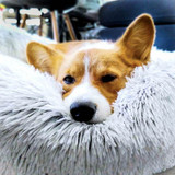 Relax Cozy Calming Bed