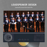 Phone Screen Amplifier with Bluetooth Speaker