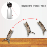Cat Laser Toy