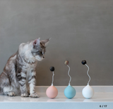 Electric Cat Toy