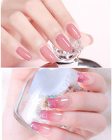 Premium Polygel Nail Kit