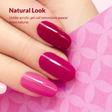 Premium Polygel Nail Kit