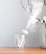 H2O Portable Humidifier