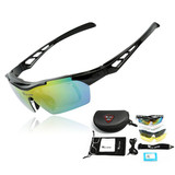 Polarized Cycling Glasses
