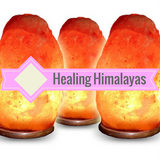 Himalayan Salt Lamps - 11-15 Pound Lamps