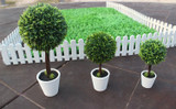 Home Decorative Bonsai artificial plants/fake flowers