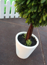 Home Decorative Bonsai artificial plants/fake flowers