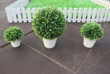 Home Decorative Bonsai artificial plants/fake flowers