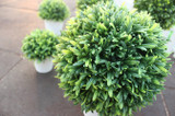 Home Decorative Bonsai artificial plants/fake flowers