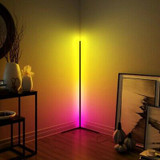 Koana Adjustable LED Floor Lamp
