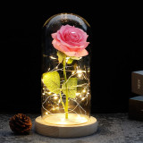 Enchanted Love Rose
