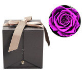 Eternal Friendship Rose