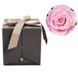Eternal Friendship Rose