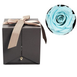 Eternal Friendship Rose
