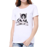3D Cat Print Soft Feeling T-Shirt