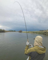 Fast Action Skyhigh Fly Fishing Rod IM12 Toray Carbon 10FT 7WT 4pcs Tip Flex 9.5