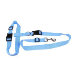 Traction Pulling Leash for Dog Running