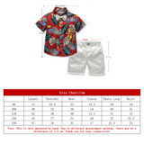 Tem Doger  Boys Clothes Shorts Sleeve Floral Shirt+Shorts 2PCS Outfits