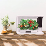 Aspara Nature 16-hole Smart Garden Hydroponics system