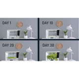 Aspara Nature 16-hole Smart Garden Hydroponics system