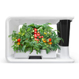 Aspara Nature 16-hole Smart Garden Hydroponics system