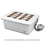 SuperPonics 16 Site Hydroponic Grow system