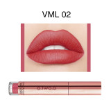 Matte Lipstick Liquid Waterproof Long Lasting Velvet Lip Gloss Makeup Smooth Pigment Lip Tint Red Lips Cosmetics