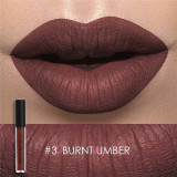 Matte Liquid Lipstick Waterproof Moisturizer Smooth Lip Stick Long-lasting Lip Tint Cosmetic Lip Makeup