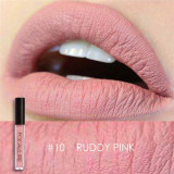 Matte Liquid Lipstick Waterproof Moisturizer Smooth Lip Stick Long-lasting Lip Tint Cosmetic Lip Makeup
