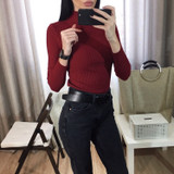 Turtleneck Sweater Women Sweaters Fashion Jersey Women Pullover