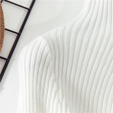 Turtleneck Sweater Women Sweaters Fashion Jersey Women Pullover