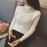 Turtleneck Sweater Women Sweaters Fashion Jersey Women Pullover