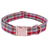 The Austin Pet Leash