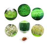 Electric Seed Germination Grower